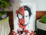 Recuadro de Spiderman de Andrew-2