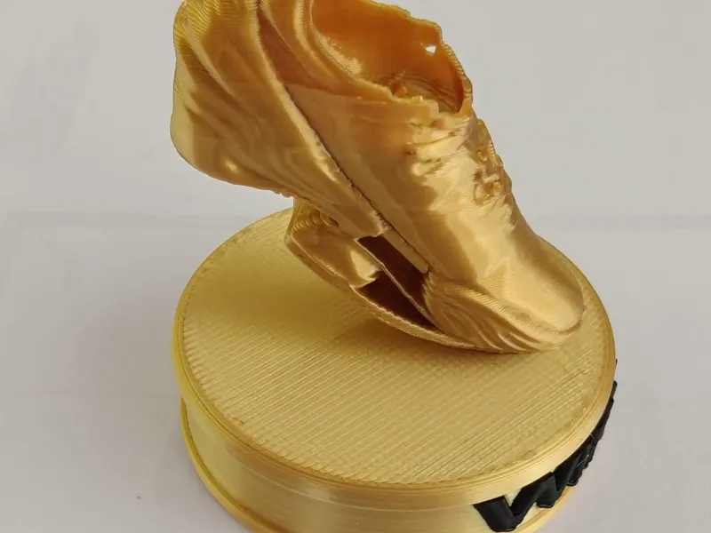 Runner’s Shoe Trophy “WINNER!!!”