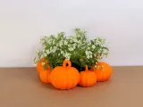 Pumpkin patch planter-2