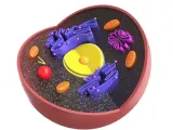 Nucleus-1