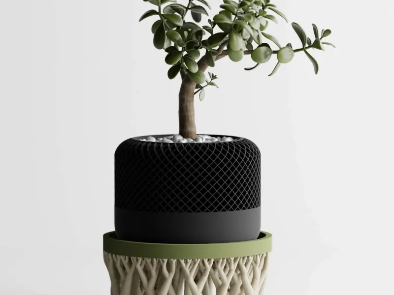 Oragnic Bowl / Planter Stand
