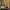 Marco de fotos y busto de Sydney Sweeney