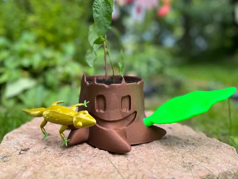 Souche d'arbre et parcelle de plantes de lézard