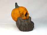 BEARDED PUMPKIN SKULL - 長髯南瓜頭骨-6