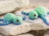 Tortuga flexible-0