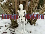 Esqueleto Humano Totalmente Realista-1