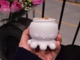 Octopus-2