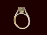 Cathedral Engagement Ring-1
