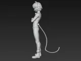 Black cat-3