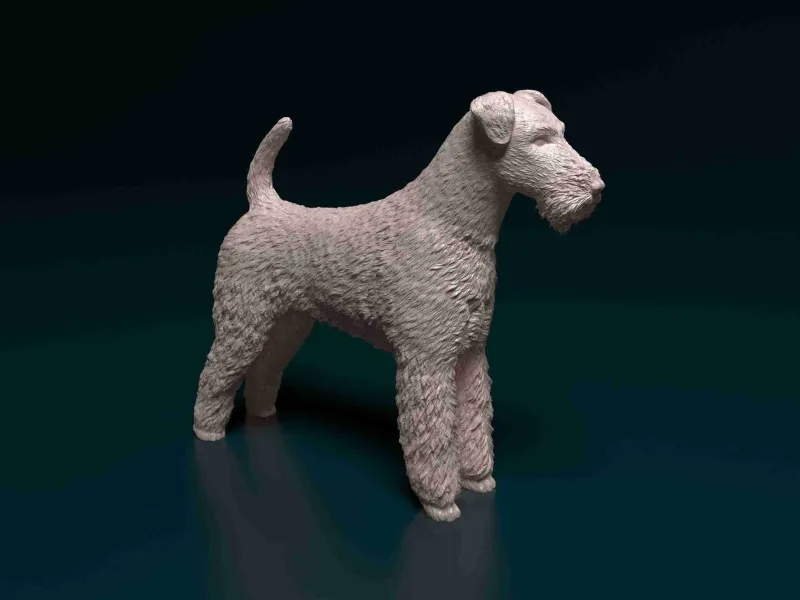 Fêmea de Airedale terrier