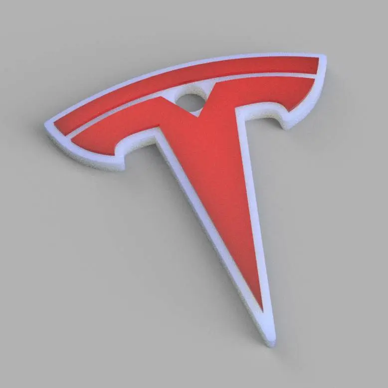 Tesla keychain