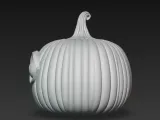 small pumpkin-3