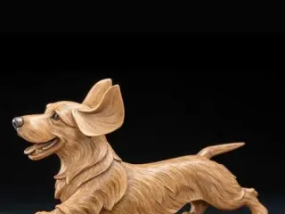 salchicha peludo