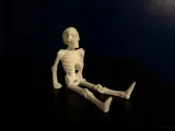 Sitting skeleton- articulated-2
