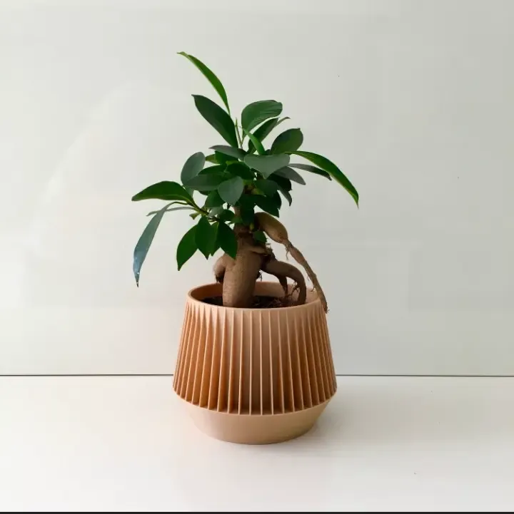 pot plant japonais 