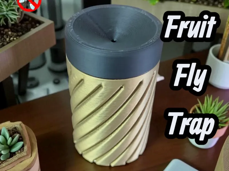 Fruit Fly Trap