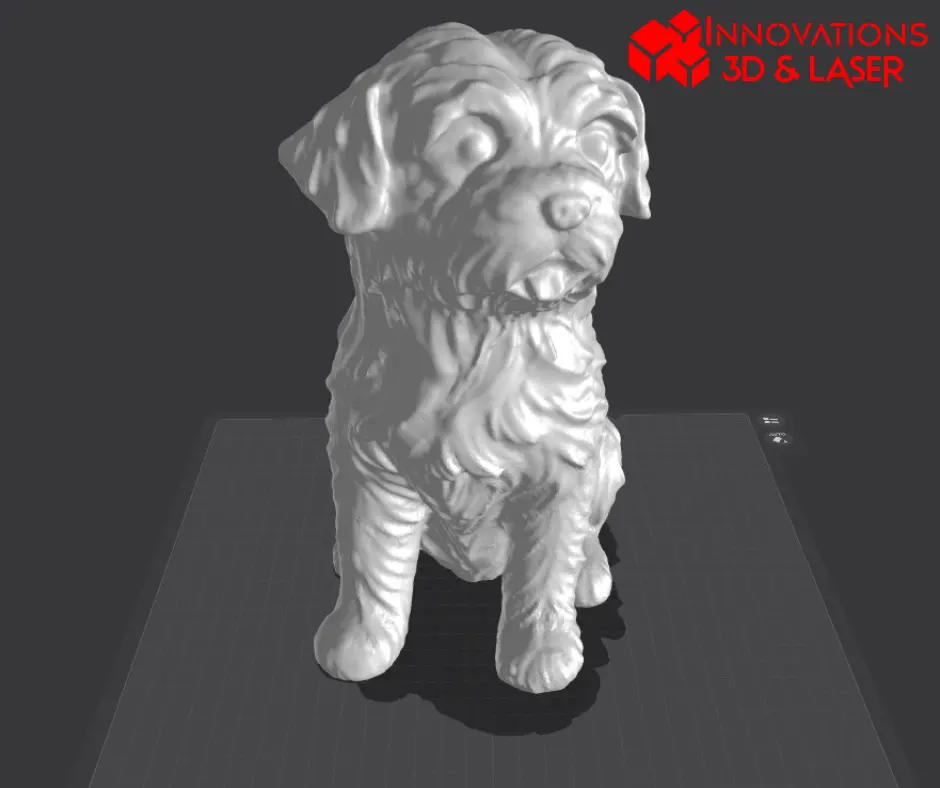 Perro maltés - Bichon Maltais
