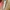 Shoe Horn