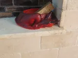 dragon soap dish-0
