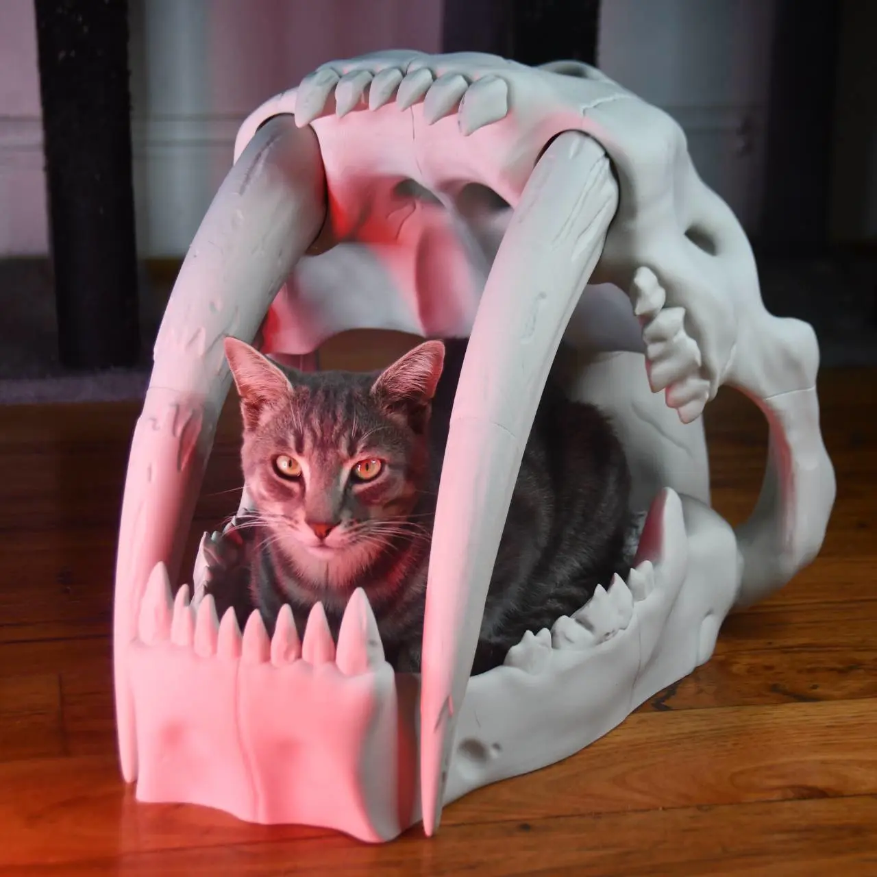 Saber Tooth Tiger Skull Pet Bed