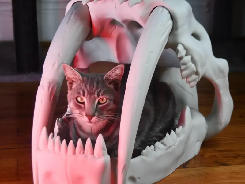 Saber Tooth Tiger Skull Pet Bed