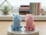 MINI CAPYBARA-1