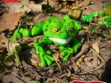 PRINT-IN-PLACE FLEXI TOAD ARTICULATED-0