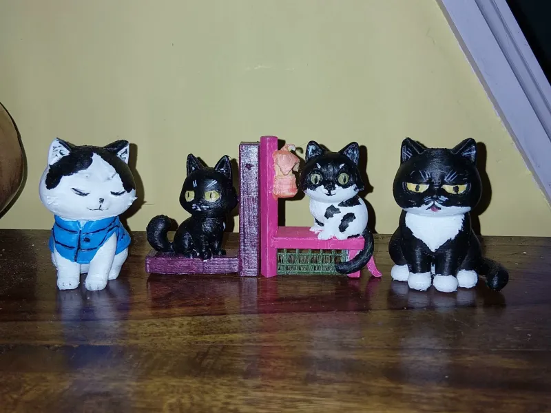 cat collection