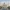 Taj Mahal India