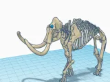 skeleton-0