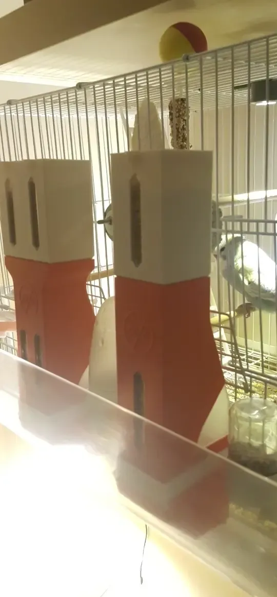 Bird Feeder (Automatic)