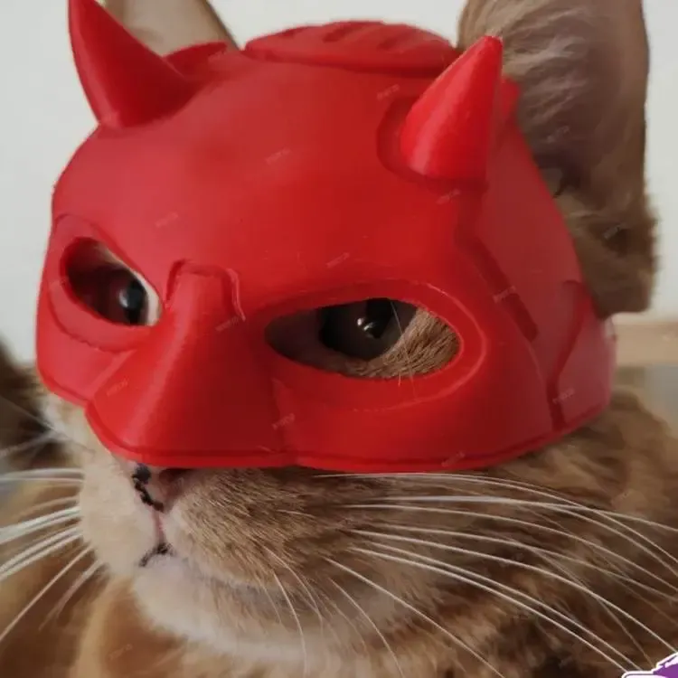Cat mask dare devil