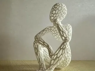 Voronoi Beyond Sight - Sculpture