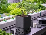 Modern Plant-0