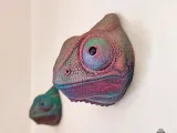 WALL CHAMELEON-1