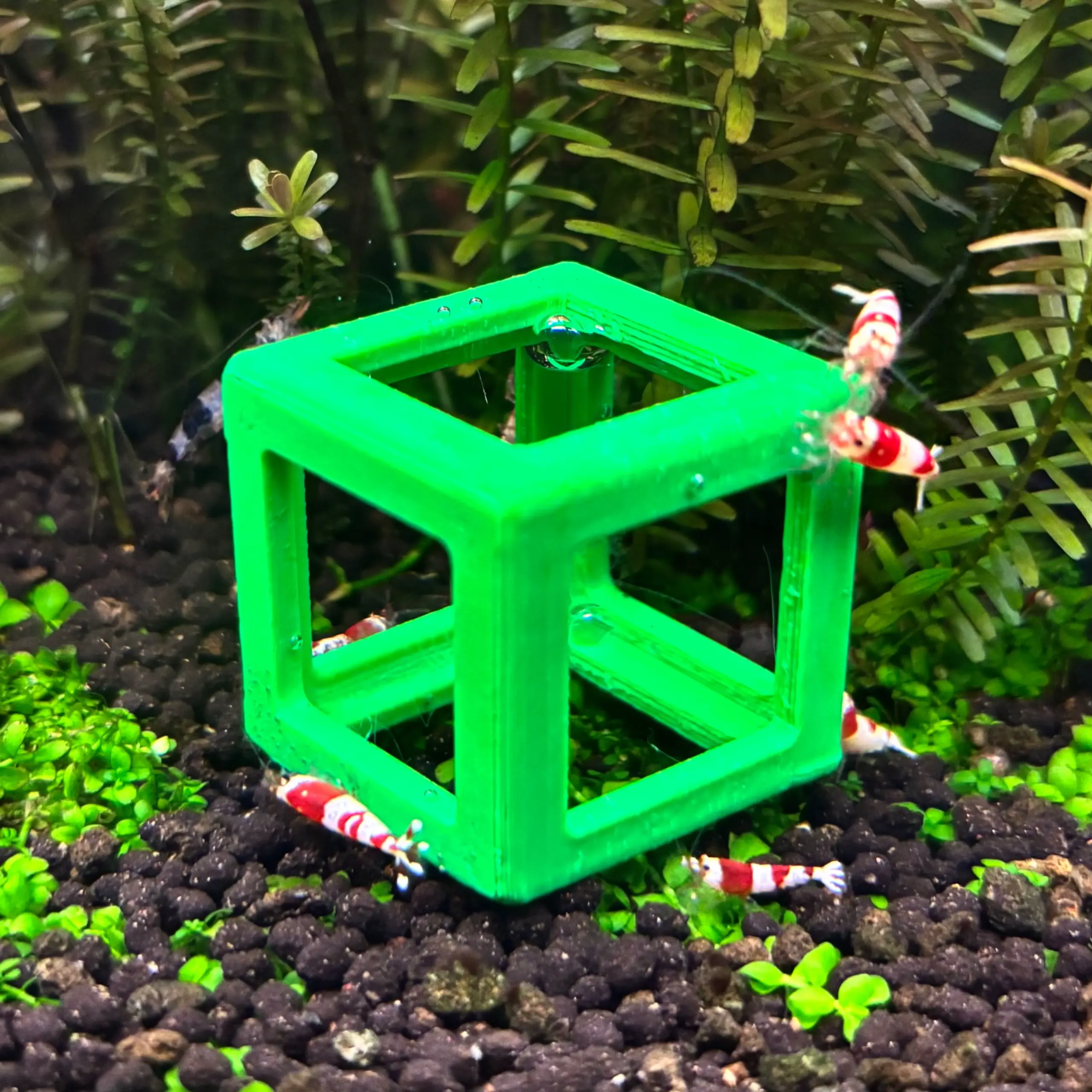 Cube decoration for aquarium