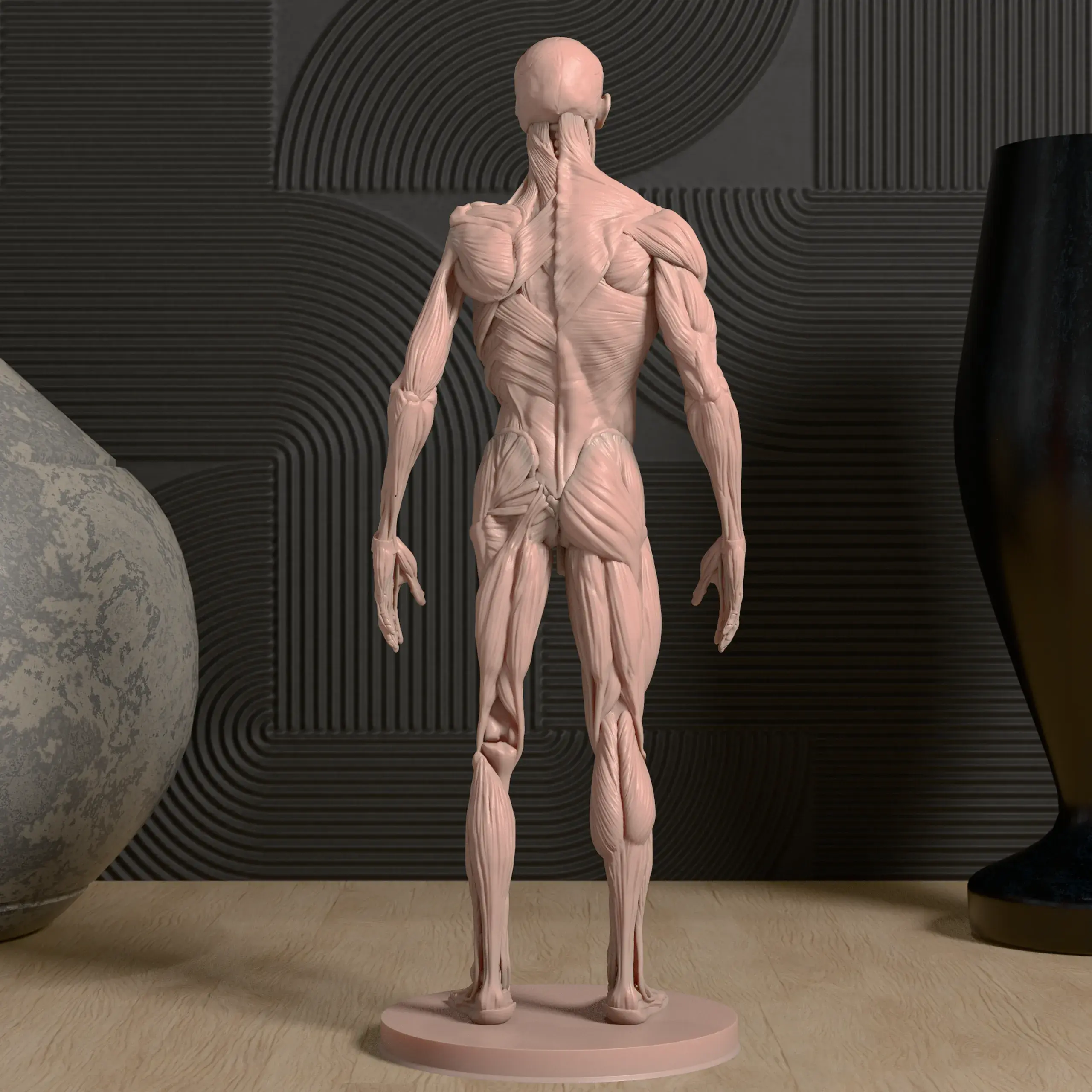 Human Anatomy STL Model