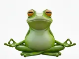 Zen Frog-0