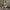 Countour vases