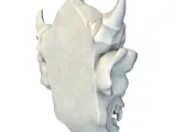 Gargoyle Monster Head – Dark Fantasy Creature Model-7