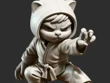 Ninja Cat-0