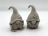 Cute Gnomes Couple-1