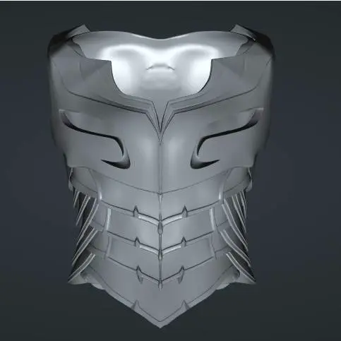 ZED BODY ARMOR AND MASK