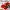 Lightning McQueen Kit Card (Disney Pixar Cars)