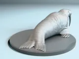 Walrus-2