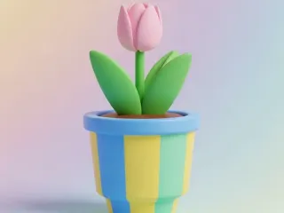 Tulipan