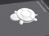 TurtleShell Coaster-1
