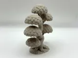 Bonsai Decoration-3