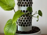 ClimbMate – Modular Moss Pole Planter with Self-Watering-7