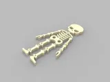 Flexi skeleton -1